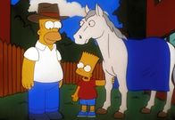 Die Simpsons – Homer und Bart nehmen das zum Schlachten vorgesehene Pferd Duncan auf. Bald entpuppt sich der Gaul als ein talentiertes Rennpferd.