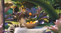 King Julien – Sa, 22.02., 06:00 Uhr