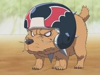 Eyeshield 21 – Sa, 13.12., 05:45 Uhr