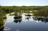 Paradiese aus Menschenhand – Immer schneller verschwinden die Moore in Europa.
