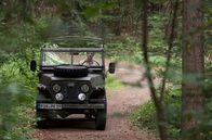 Der Ranger - Paradies Heimat – Bei einem Unfall im Wald wird Rike eingeklemmt und kann sich nicht mehr selbst befreien. Doch auf Jonas (Philipp Danne) Hilfe kann sie sich immer verlassen.