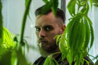 Gomorrha - Die Serie – Gomorrha - Die Serie (2018)