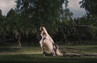 Melancholia – Mi, 24.09., 20:15 Uhr