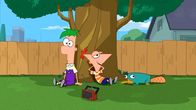Phineas und Ferb – Phineas et Ferb