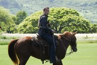 Hawaii Five-0 – Steve McGarrett (Alex O'Loughlin)