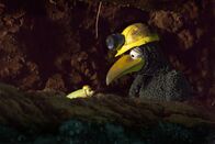 Rudis Rasselbande – Rudi (Lennart Morgenstern) und Lotti (Heide Evers) fragen sich, ob sie sich im dunklen Tunnel verirrt haben.