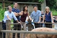 Hawaii Five-0 – Müssen den Mord an einen Wirtschaftsprofessor der Universität aufklären: (v.l.n.r.) Danny (Scott Caan), Steve (Alex O'Loughlin), Kono (Grace Park), Chin (Daniel Dae Kim) und Abby Dunn (Julie Benz) ...