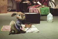Hop - Osterhase oder Superstar? – "Hop - Osterhase oder Superstar", Auf der Osterinsel werden eifrig Süßigkeiten produziert, die dann in aller Welt für die Kinder versteckt werden. Dem alten Osterhasen wird die Aufgabe allmählich zu schwer. Er beschließt daher, sein Amt an seinen Sohn E.B. zu übergeben. Dieser hat allerdings ganz andere Pläne. Als leidenschaftlicher Drummer träumt er von einer Karriere als Musiker. Um der Amtsübergabe zu entkommen, flüchtet er daher nach Los Angeles, wo er Familie O'Hare überraschend vor den Wagen hüpft.