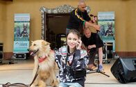 In aller Freundschaft – Emma Brückner (Vivien Sczesny) kümmert sich um den Hund einer Patientin, die in der Sachsenklinik liegt. Und nicht nur das: Sie hat auch die Organisation einer Spendenveranstaltung für ein Leipziger Tierheim übernommen.