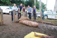 Hawaii Five-0 – Eine Schweinehüterin findet beim Füttern einen bereits von den Schweinen halb zerfressenen Leichnam. (v.l.n.r.) Danny (Scott Caan), Steve (Alex O'Loughlin), Kono (Grace Park), Chin (Daniel Dae Kim) und Abby Dunn (Julie Benz) beginnen mit den Ermittlungen ...