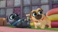 Welpen Freunde – L-R: Bingo (voiced by Issac Ryan Brown), Rolly (voiced by Sam Lavagnino)