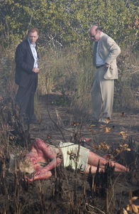 CSI: Miami – CSI: Miami (2004)