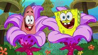 SpongeBob Schwammkopf – L-R: Patrick, SpongeBob