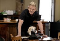 In Teufels Küche mit Gordon Ramsay – So, 19.07., 09:00 Uhr
