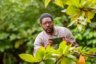 Death in Paradise – Do, 30.07., 15:15 Uhr