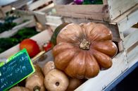 Zu Tisch ... – Im Herbst ist Kürbiszeit auf der Ferme du Plantey von Benjamin Caie.