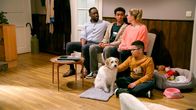 Rote Rosen – Hendrik (Jerry Kwarteng), Britta (Jelena Mitschke), Sam (Jayceon Müller) und Joe (Naiher Zerisenay) haben die gleiche Meinung zu der Kräutersalbe.