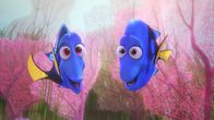 Findet Dorie – Findet Dorie (2016)