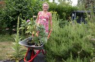 Garten & Lecker – Zur fünften Gartenreise lädt Dreifach-Mama Kai Judith Wetzel in die Nordeifel in ihren Staudengarten mit Laube, Feuerstelle und vielen selbst gemachten Keramiken. Ihre große Liebe gilt England und der dortigen Gartenkultur. Von ihren jährlichen Reisen auf die britische Insel bringt sie Pflanzen als auch Dekorationselemente mit, mit denen sie Garten und Haus verschönert.