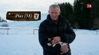 Bauer, ledig, sucht... – Pius