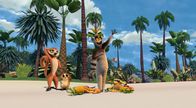 King Julien – Fr, 11.11., 06:05 Uhr
