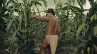 Die Macht der Elemente – Die Maya können dank cleverem Wassermanagement Maisfelder im Dschungel anlegen.