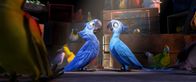 Rio – "Rio", Der Papagei Blu wird in Minnesota von der jungen Bibliothekarin Linda nach Strich und Faden verwöhnt. Nicht einmal das Fliegen hat er bislang erlernen müssen. Da überrascht Ornithologe Tulio die beiden mit der Nachricht, dass Blu einer äußerst seltenen Art angehört. Nur in Rio de Janeiro soll es noch einen weiteren Blau-Ara geben - und zwar ein Weibchen! Blu und Linda begeben sich sofort auf die Reise nach Brasilien, mitten ins Mekka des Karnevals. Dort erleben sie mit Blus temperamentvoller Artgenossin Jewel ihr blaues Wunder.