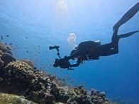Universum: Das Rote Meer - Im Zaubergarten der Evolution – Kamermann Sven Bender, Jordanien.