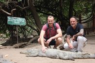 Verrückt nach Meer – Banjul, Gambia: Heute ist bei den Passagieren Männertag: Die Passagiere Andreas Werner und David Diesner machen einen Ausflug zu einer Krokodilfarm. Dort dürfen sie die Krokodile sogar streicheln. Während Krokodile meist nur Schrecken verbreiten, sind sie in Gambia heilig - sie schenken Fruchtbarkeit und Glück. Vor allem Frauen mit Kinderwunsch pilgern zu den Tieren, um sie zu berühren. Der uralte Familienbetrieb, das heilige Krokodilbecken von Kachikally, ist bei Touristen sehr beliebt. Weiteres Bildmaterial finden Sie unter www.br-foto.de.