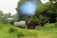 Mit dem Zug ... – Eine Dampflok der englischen Vulcan Foundry aus den 50er Jahren steht vor den restaurierten Reisezugwagen der North Borneo Railway.