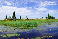 Mythos Kongo – Am Ende der Regenzeit steht in Bangweulu fast alles unter Wasser – wer von einem Ort zum anderen will, braucht ein Boot oder eine Piroge.