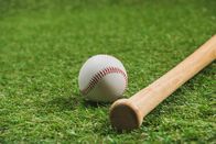 Baseball: Bundesliga – Nahaufnahme der Baseballausrüstung