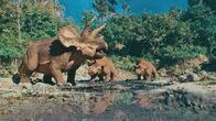 Lost Beasts - Riesen der Urzeit – Lange galt der Triceratops als Einzelgänger. Doch neueste Funde belegen, dass Jungtiere in kleinen Gruppen lebten.