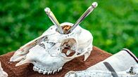 Mythos Kelten – Das Geheimnis der Rituale: Vor allem der keltische Schädelkult gibt reichlich Stoff für Schauergeschichten.