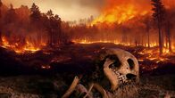 Katastrophen der Erdgeschichte – Die Existenz des Homo Sapiens ist durch Klimakatastrophen und andere Naturgewalten bedroht. Älteste Überreste des Homo Sapiens werden 2017 in Marokko entdeckt. Der Fund ist mehr als 300.000 Jahre alt.
