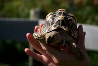 Zoogeflüster – Fr, 10.07., 07:50 Uhr
