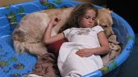 Tierisch clever – Auf der Erde leben 400 Millionen Hunde. Es gibt Arbeitshunde, Rettungshunde, Schoßhündchen, Blindenhunde, Zirkushunde, preisgekrönte Champions und viele mehr. Seit über 12.000 Jahren begleiten sie den Menschen auf seinem Weg durch die Geschichte und den Alltag. Dabei hängt die Erfolgsgeschichte der Tiere nicht zuletzt mit ihrer Intelligenz zusammen. Die meisten Hundehalter halten ihre vierbeinigen Freunde für wahre Genies. Doch wie klug sind die Kläffer wirklich? NATIONAL GEOGRAPHIC beobachtet Wissenschaftler und Hundetrainer bei dem Versuch, neue Antworten auf eine alte Frage zu geben.