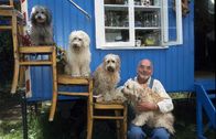Löwenzahn Classics – Eigentlich wünscht sich Peter (Peter Lustig) mindestens vier Hunde.