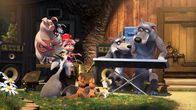 Mascha und der Bär – Mascha und ihre Freunde singen ein Lied, damit es regnet und die Pilze wachsen können.