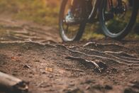 Trailträume – Mountainbike