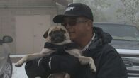 Storage Wars: New York – (9. Staffel) - Dave