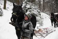 Heimatleuchten – Gerti Herzog (im Bild) aus Mondsee zieht mit ihrer Norikerstute Trixi bei eisigen Temperaturen los, um dem Holzknecht Hans Lettner beim Holzziehen zu helfen