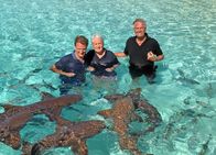 Elstners Reisen – Mutig: Ohne Schutz schwimmen Matthias Reinschmidt, Frank Elstner und Baron von Kerckerinck mit den Ammenhaien auf den Bahamas.