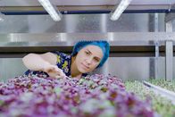 P.M. Wissen – Marili Wentzel, Mechatronik-Ingenieurin von „Growy“, Amsterdam. Sieht so die Zukunft der Landwirtschaft aus?
