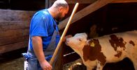 Bauer, ledig, sucht... – Simon