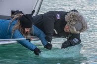 Gordon Ramsay: Kulinarische Abenteuer – Alaska - (L to R) Michelle Costello and Gordon Ramsay harvest a free-floating iceberg for cocktail ice cubes.