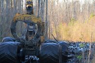 Holzfäller extrem – Das Holzfällerteam unter der Leitung von Bobby Goodson beginnt die Zielgeraden auf der gefürchteten 421. Aber die Probleme, die sich anhäufen, riskieren, dass sie früher als erwartet fertig werden!.