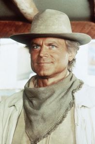 Lucky Luke – Die gefürchteten Dalton-Brüder sind in der Stadt: Lucky Luke (Terence Hill) will ihnen das Fürchten lehren ...