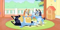 Bluey – L-R: Bandit, Bingo und Bluey