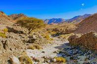 Rohstoffe der Zukunft – Biblisches Kupfer im Wadi Araba
